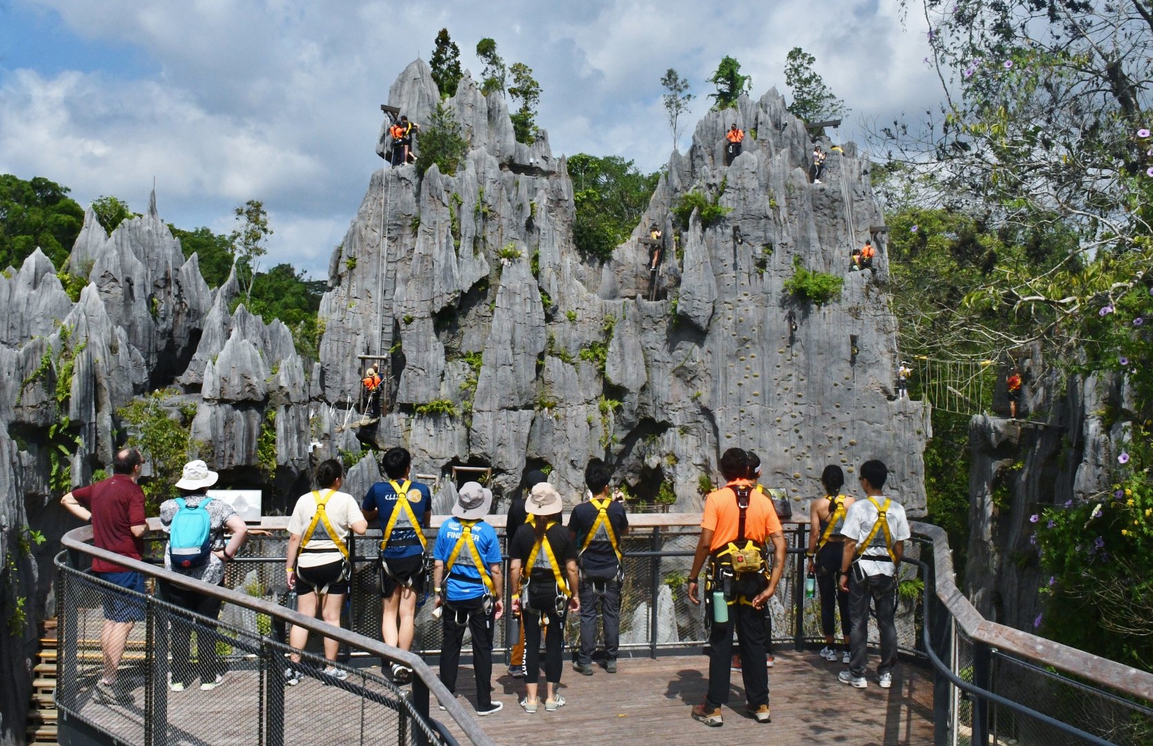 Rainforest Wild Asia - The Karsts