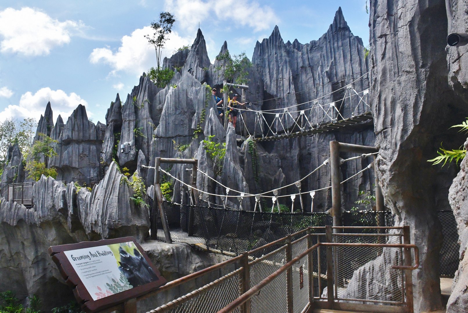 Rainforest Wild Asia - The Karsts