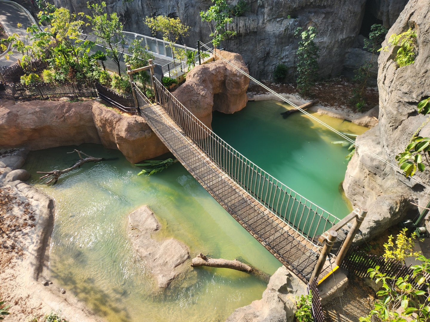 Rainforest Wild Asia- Watering Hole