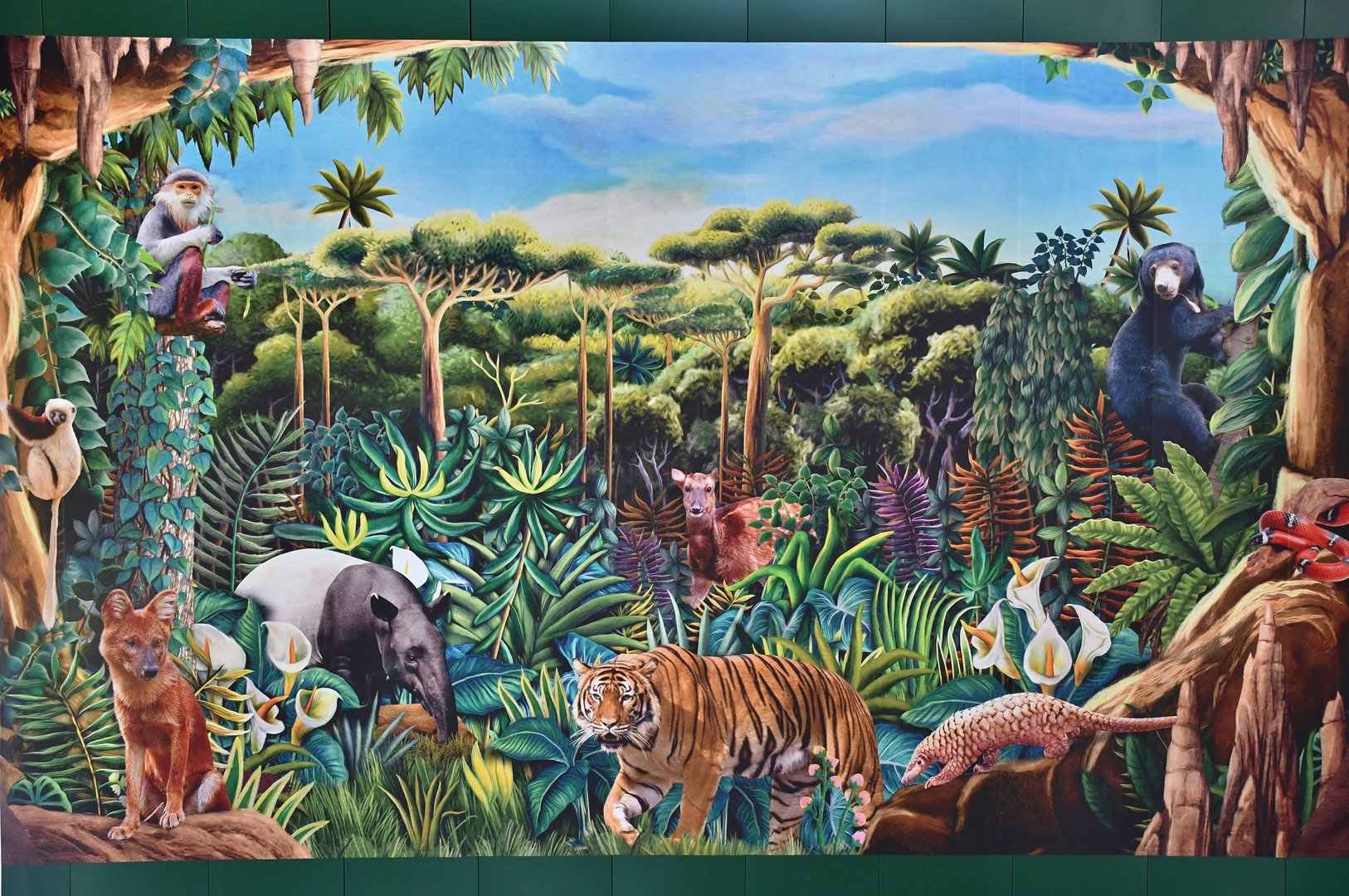 Rainforest Wild visual