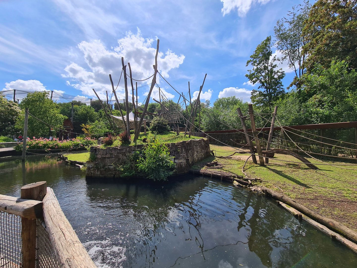 Rainforest - Yellow-breasted capuchin monkey island