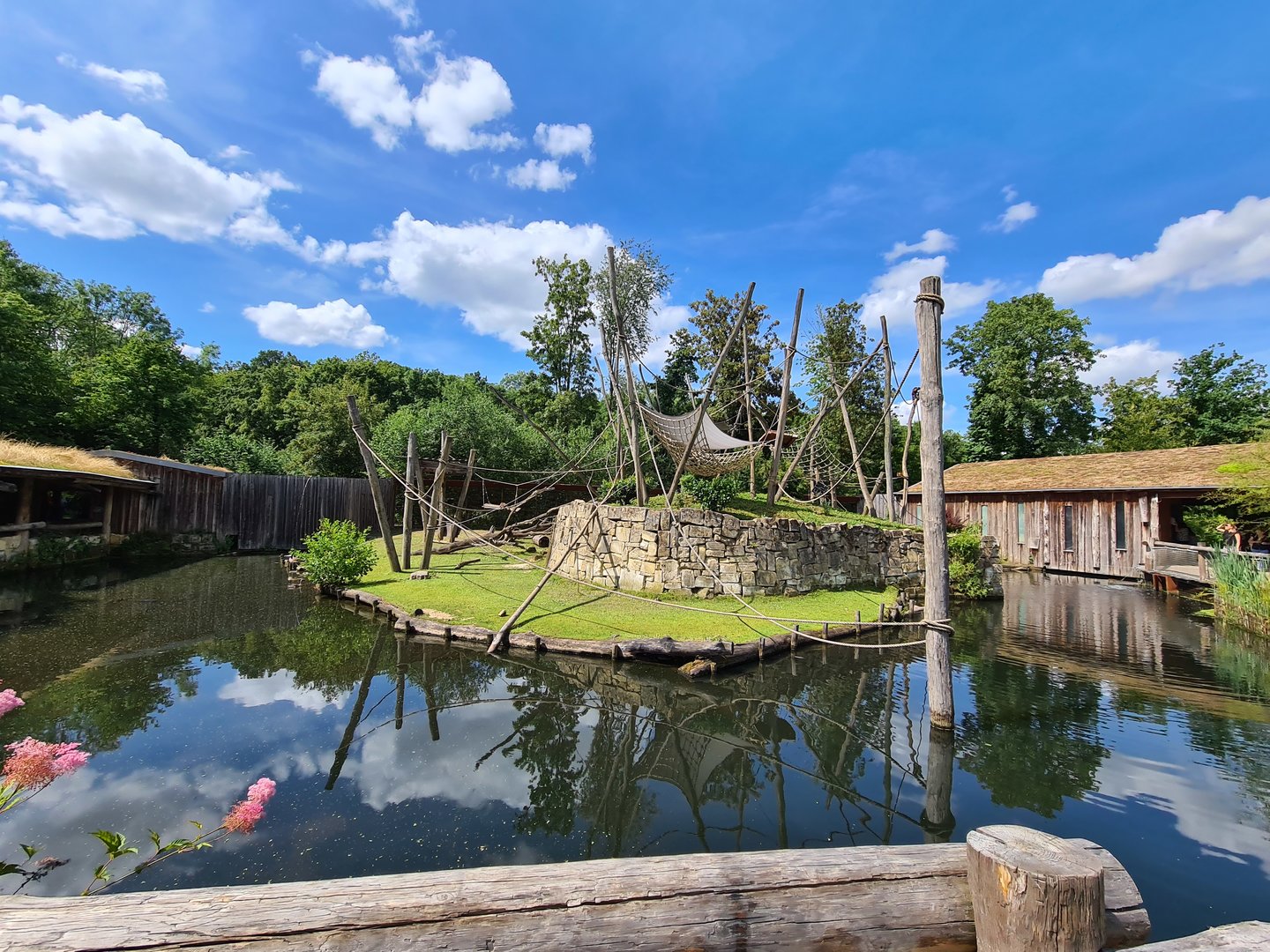 Rainforest - Yellow-breasted capuchin monkey island