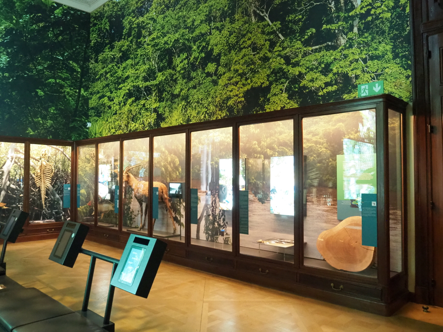 Rainforests and mangroves section of the Landscapes and Biodiversity Hall, 2021-10-20