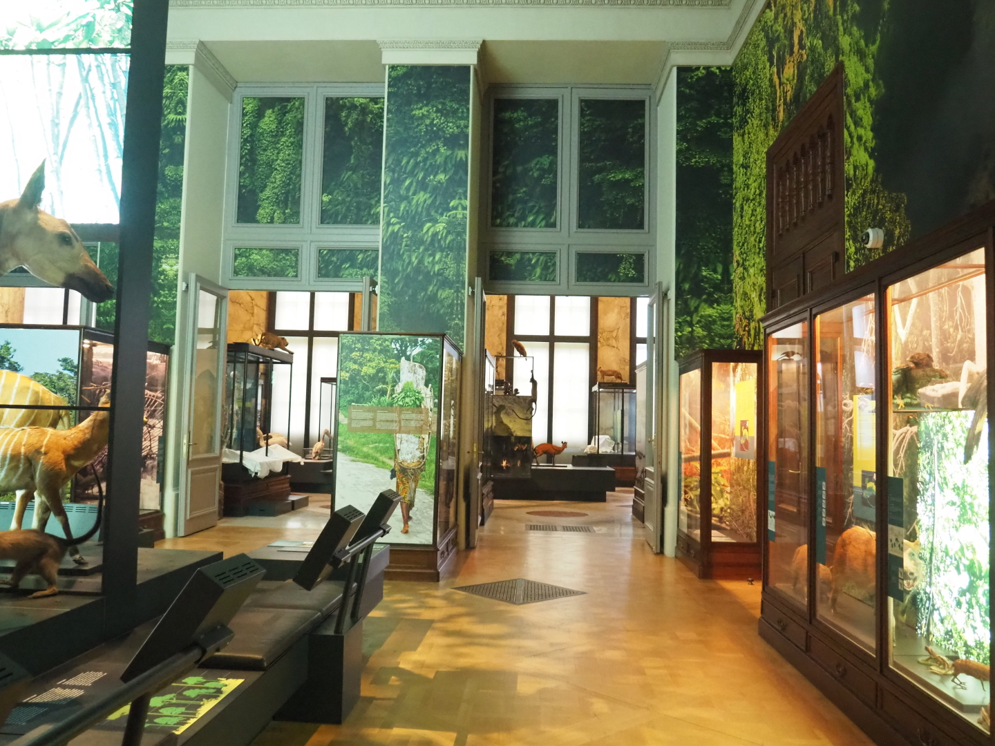 Rainforests and mangroves section of the Landscapes and Biodiversity Hall, 2021-10-20