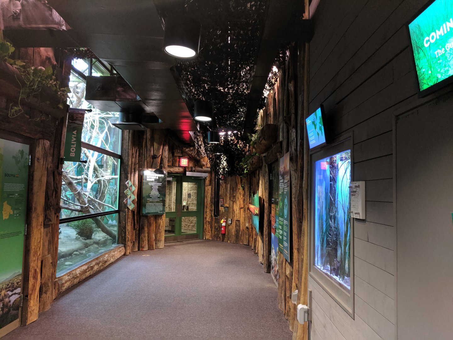 Rainforests, Rivers and Reefs