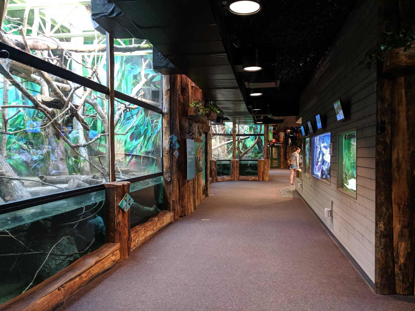 Rainforests, Rivers and Reefs