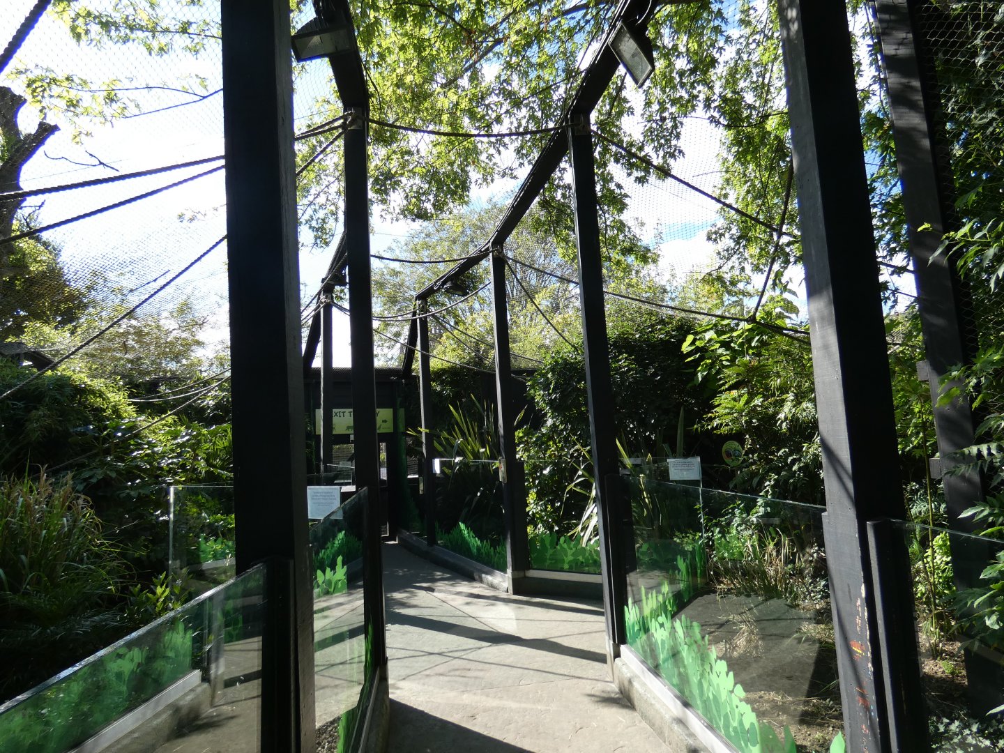 Rainforst Walk-through