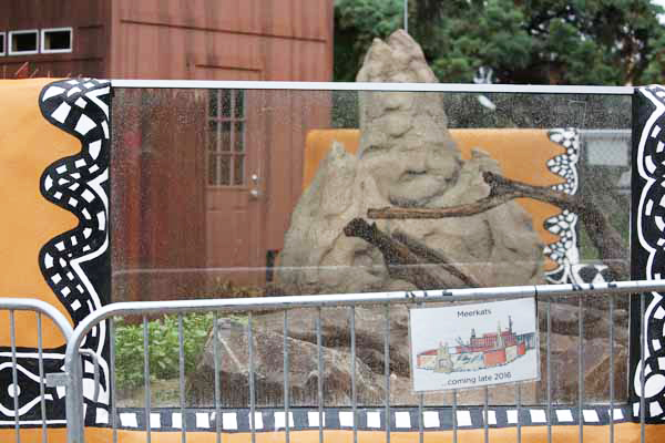 rainy day at the zoo