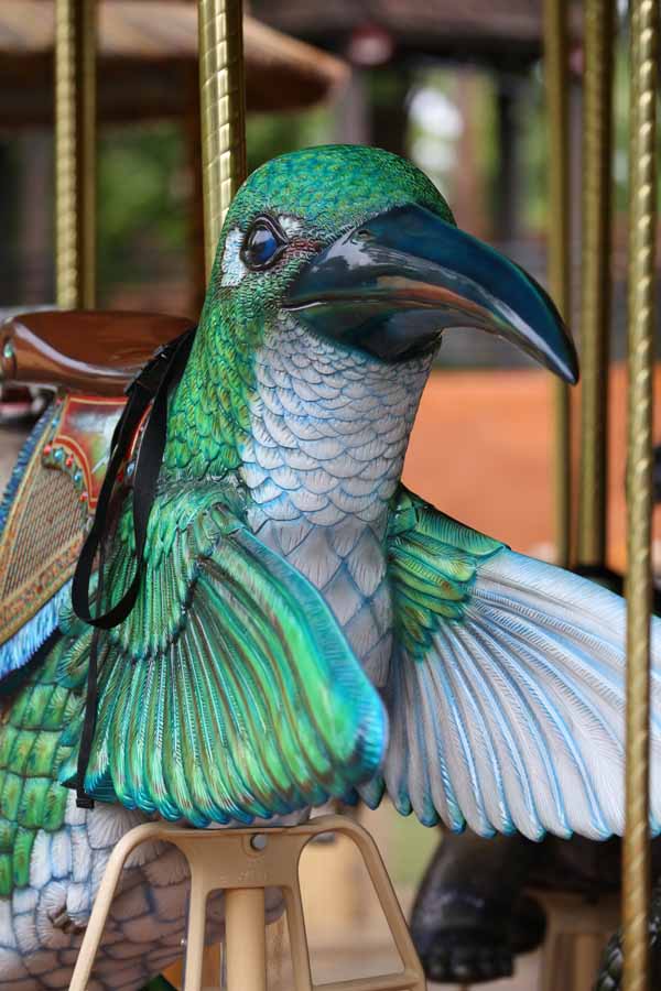 rainy day at the zoo