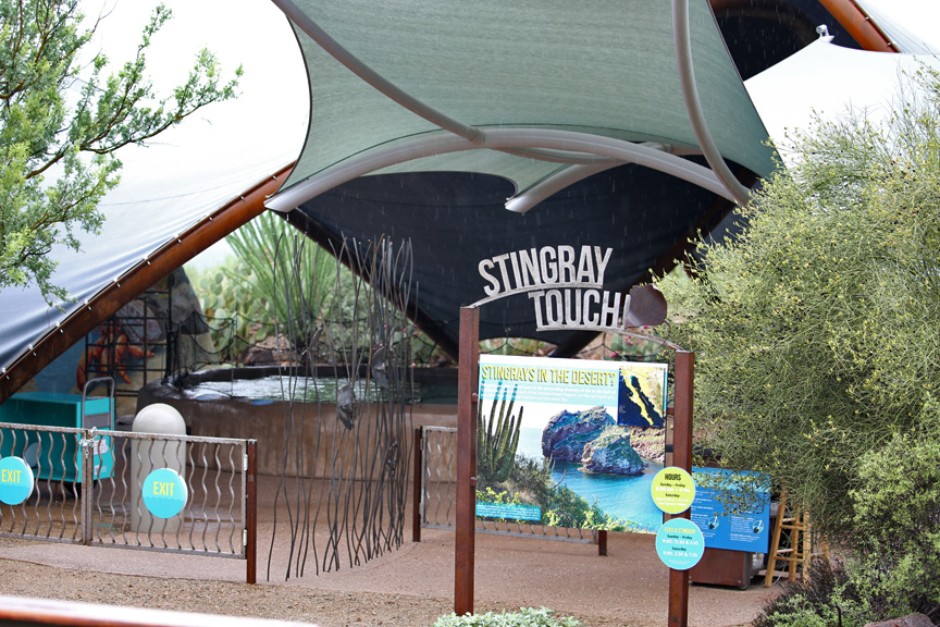 rainy day at the zoo