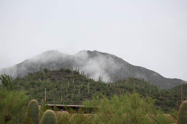 rainy day at the zoo
