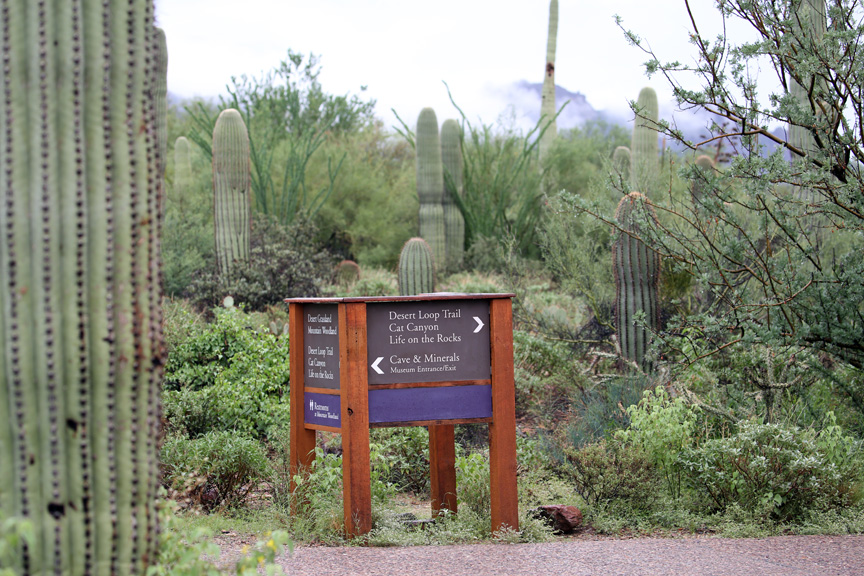 rainy day at the zoo