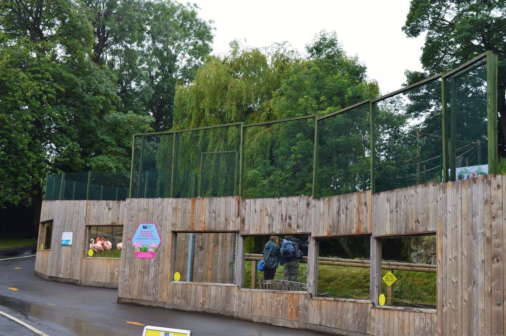 Raised fencing on flamingo enclosure