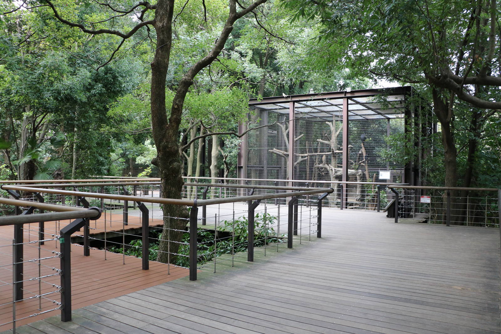Raised langur viewing area, February 2016
