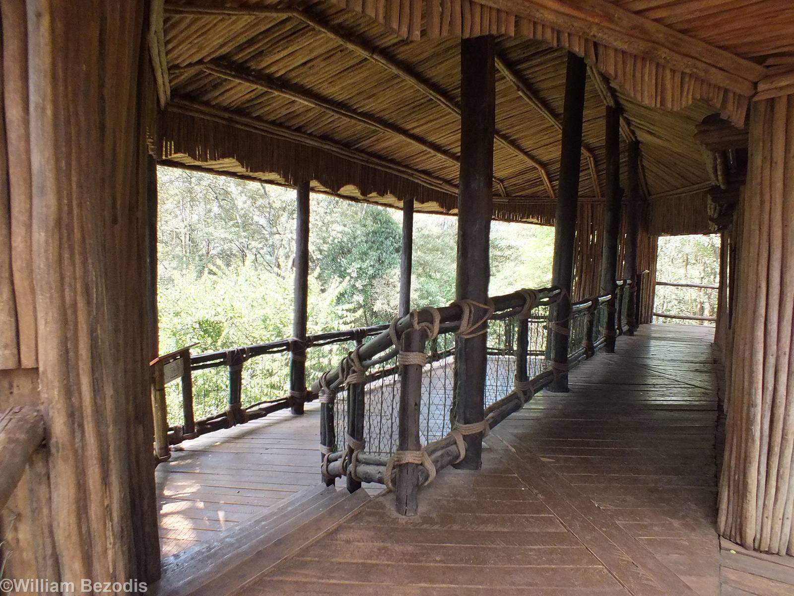Raised Viewing into the Leopard Enclosure - Nairobi Safari Walk