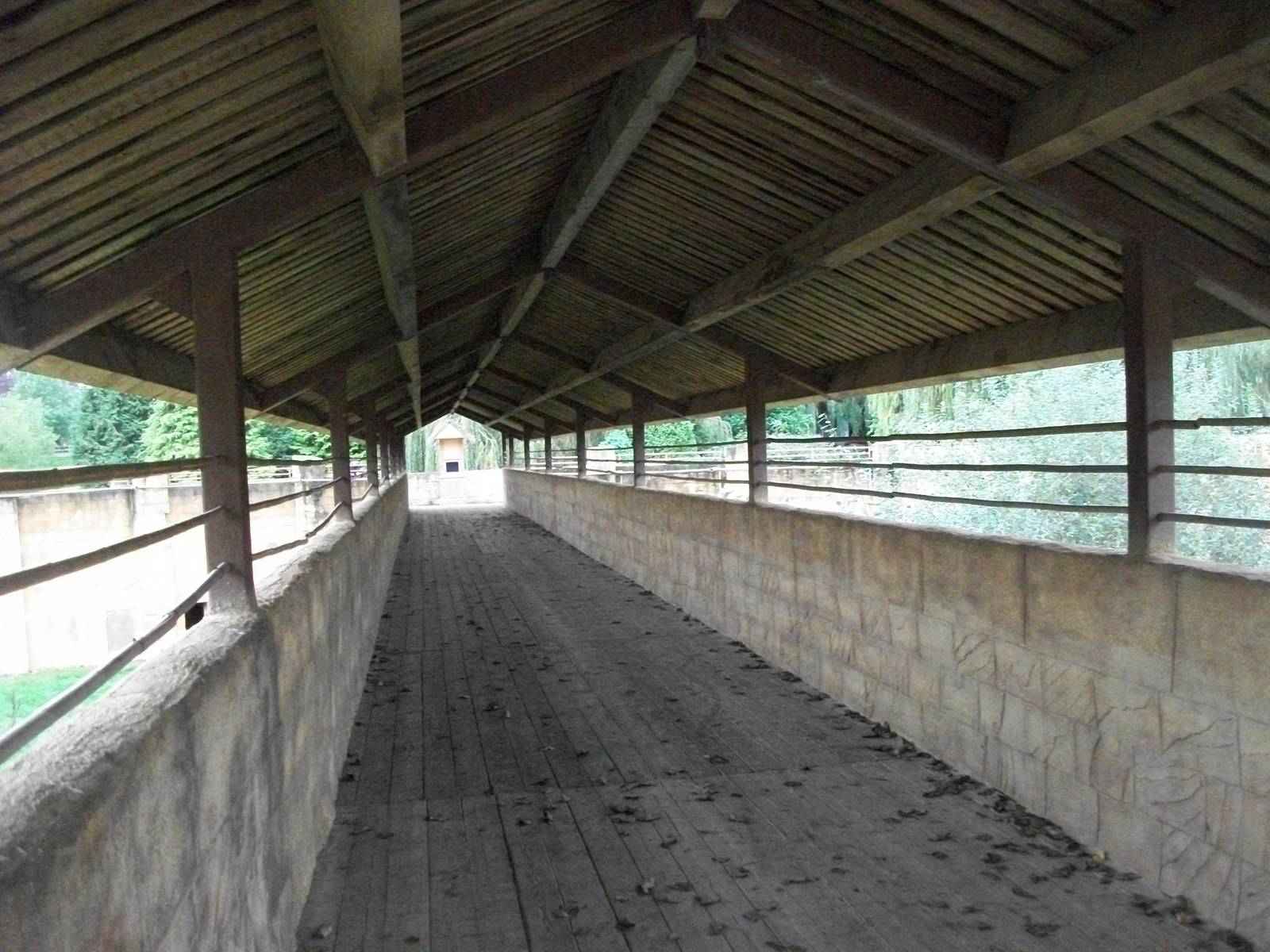 Raised walkway between Tiger exhibits