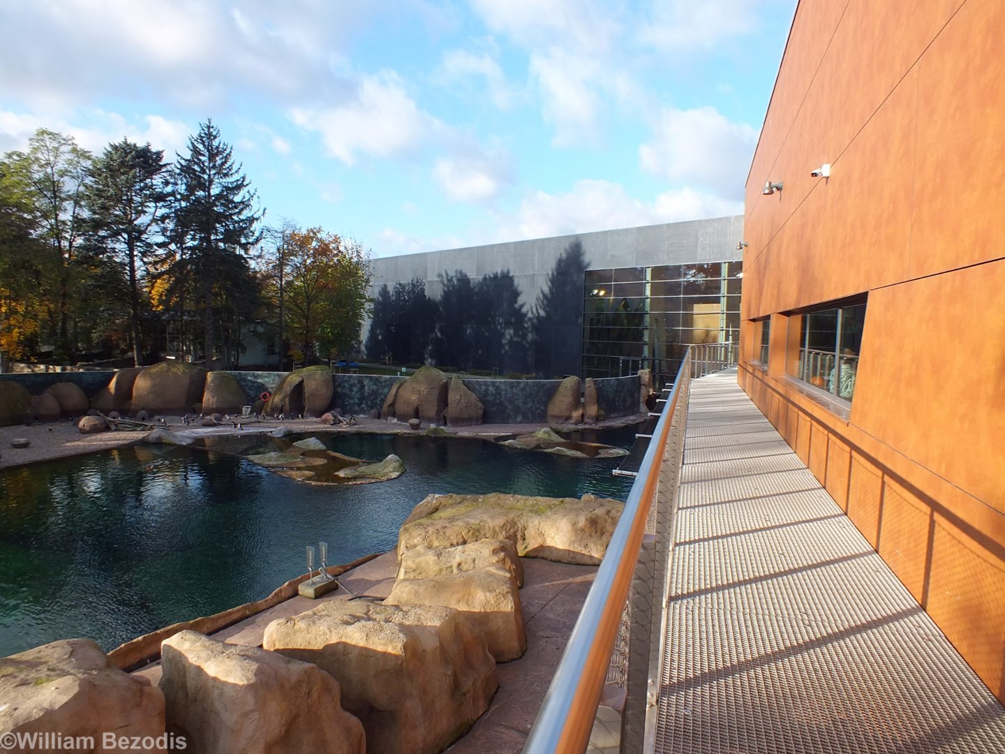 Raised Walkway for Penguins - Afrykarium