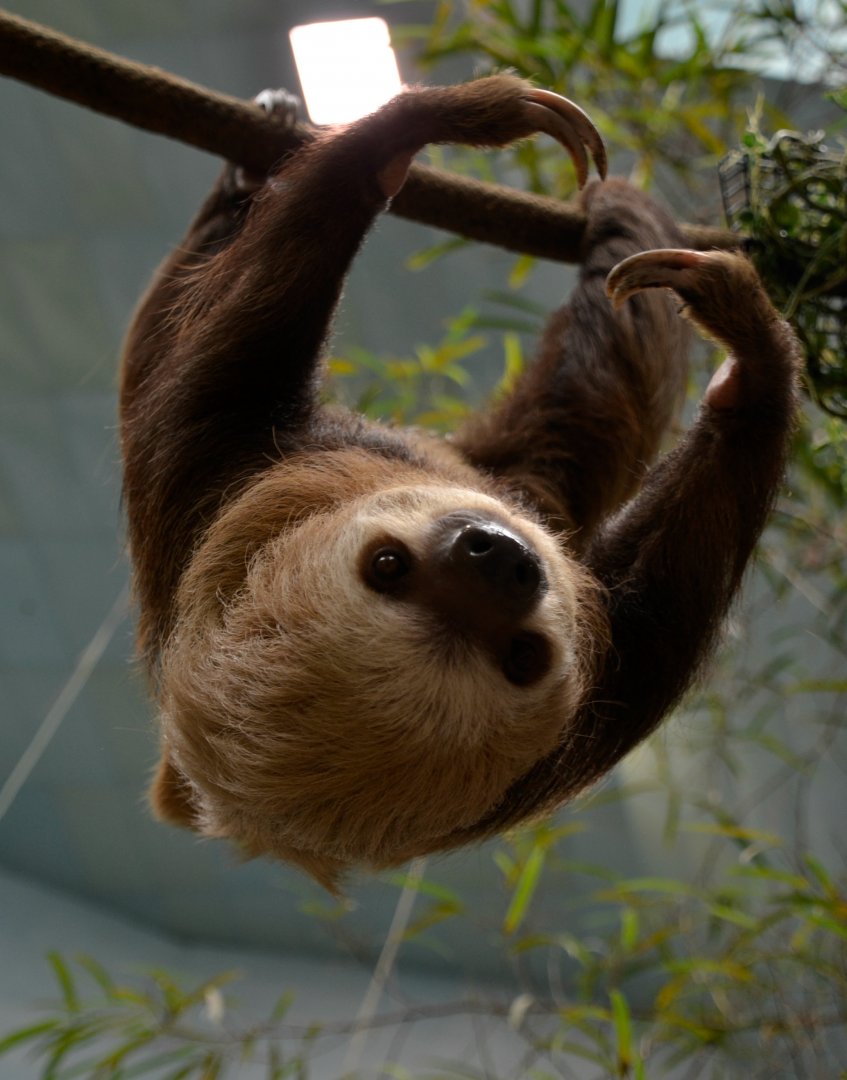 Raisin checking out my camera