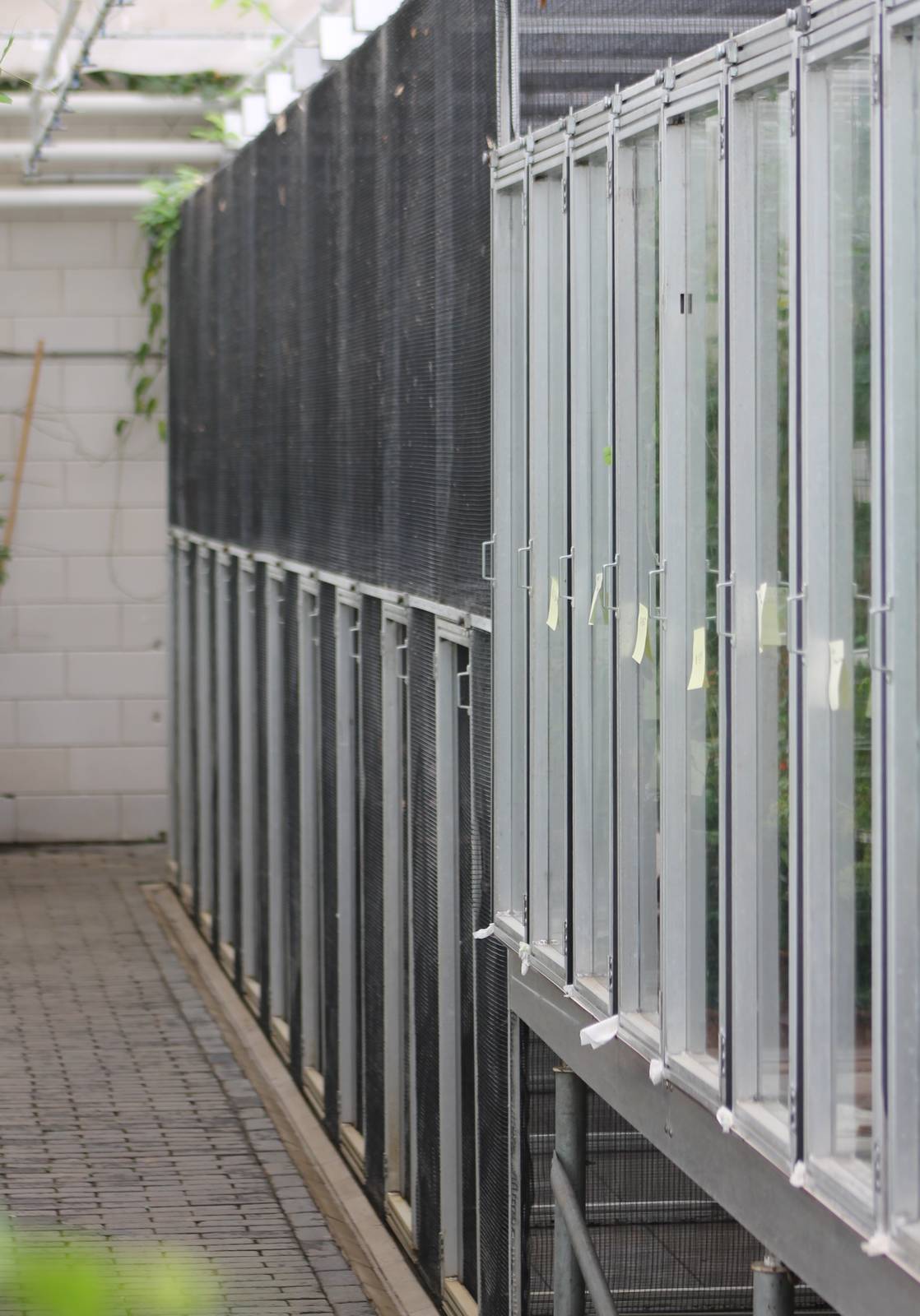 Raising and breeding enclosures