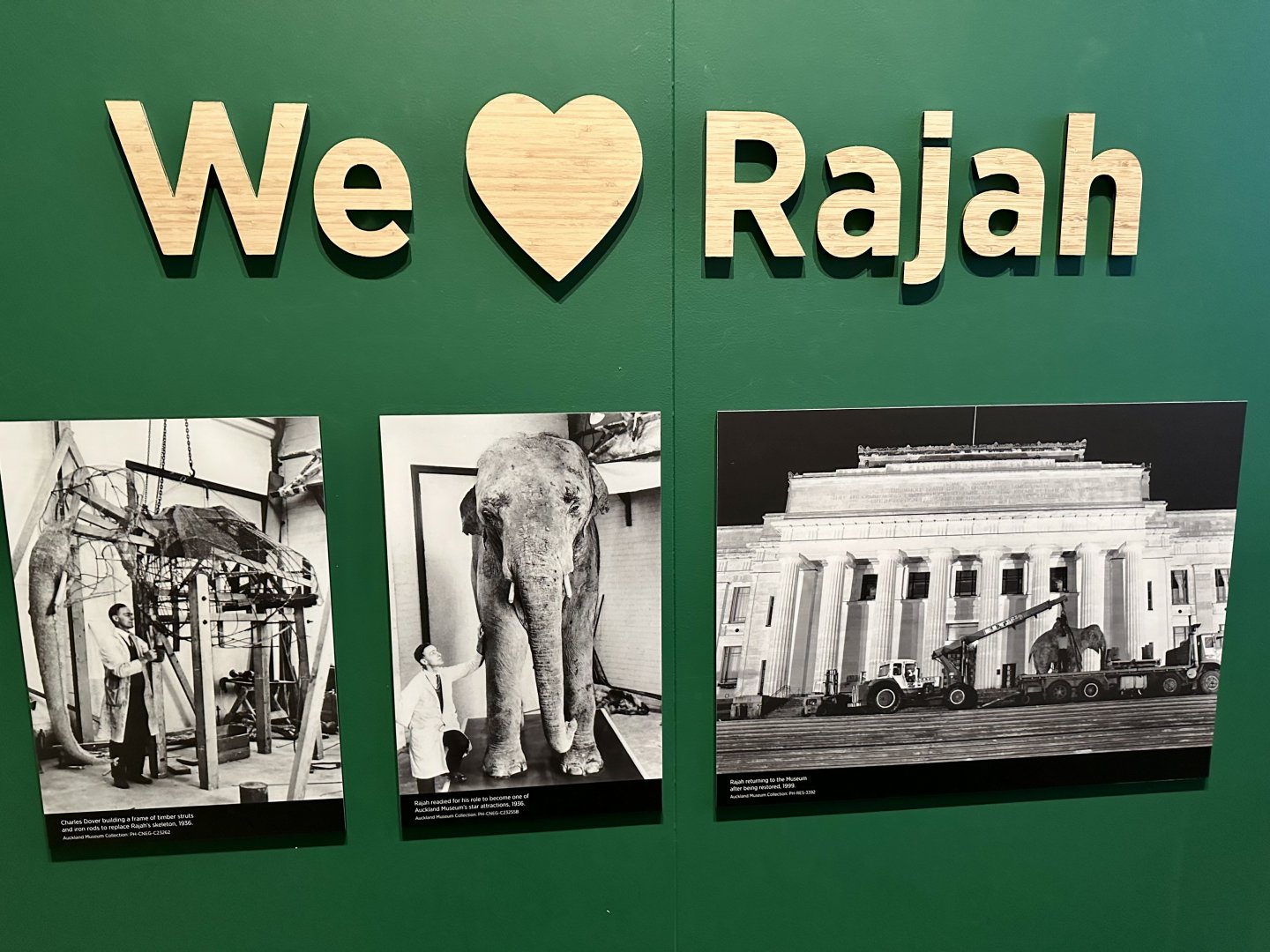 Rajah (Indian Elephant) - Signage