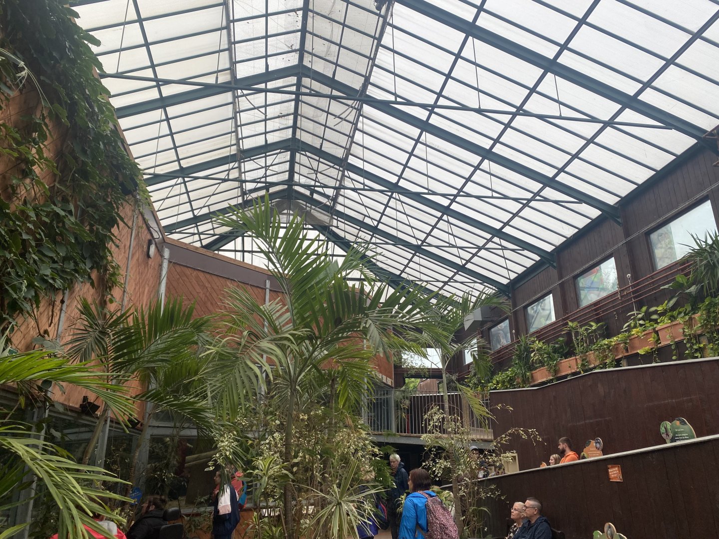 Rajang's Forest 140921