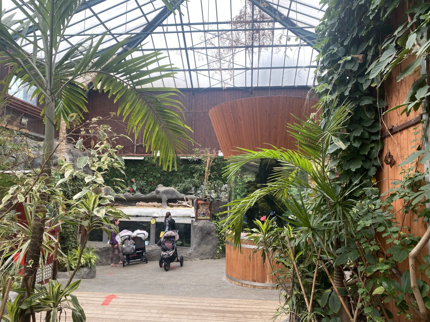 Rajang's Forest 140921