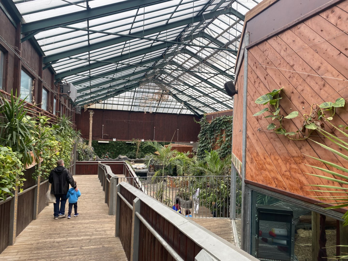 Rajang's Forest 140921