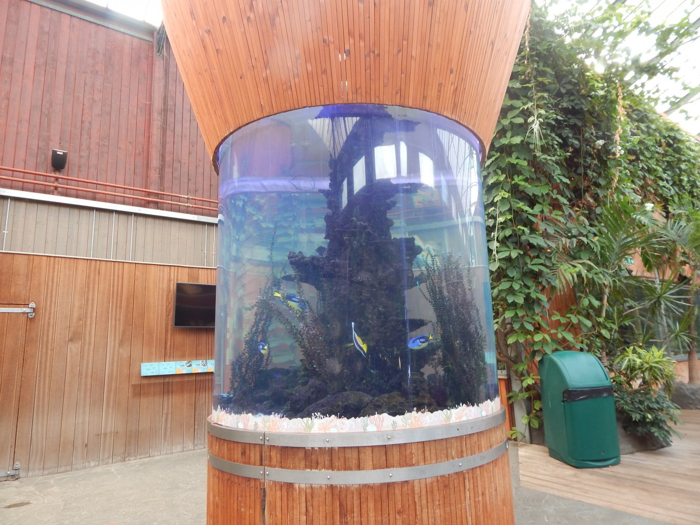 Rajang's Forest - Aquatic exhibit 110925