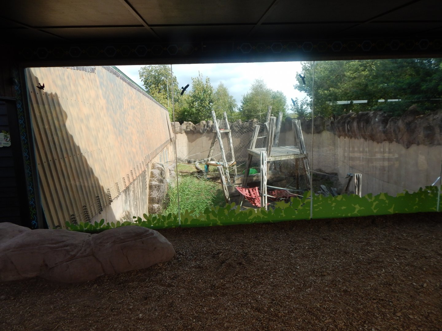Rajang's Forest - Bornean orangutan enclosure 110925