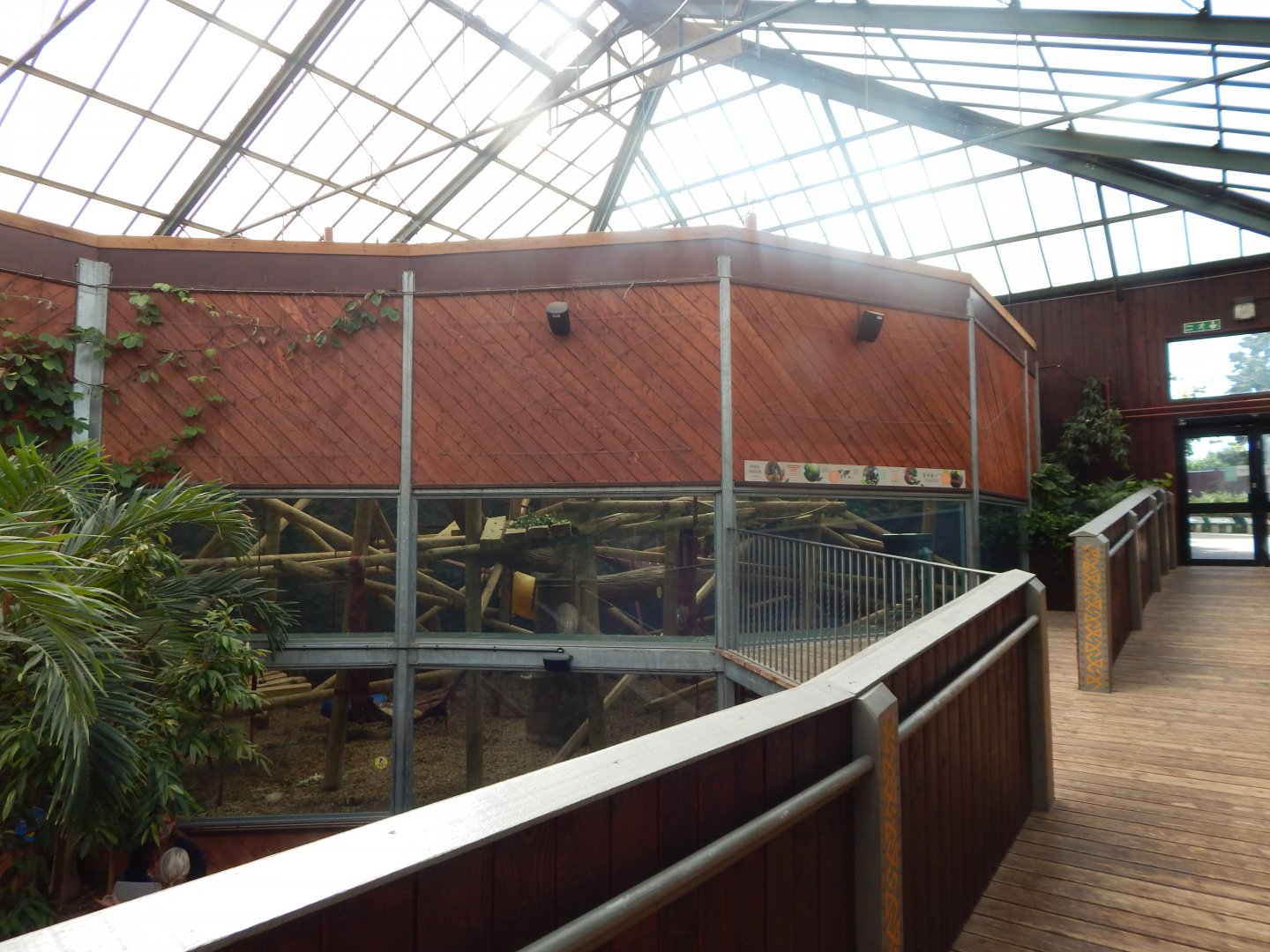 Rajang's Forest - Bornean orangutan enclosure from upper walkway 110925