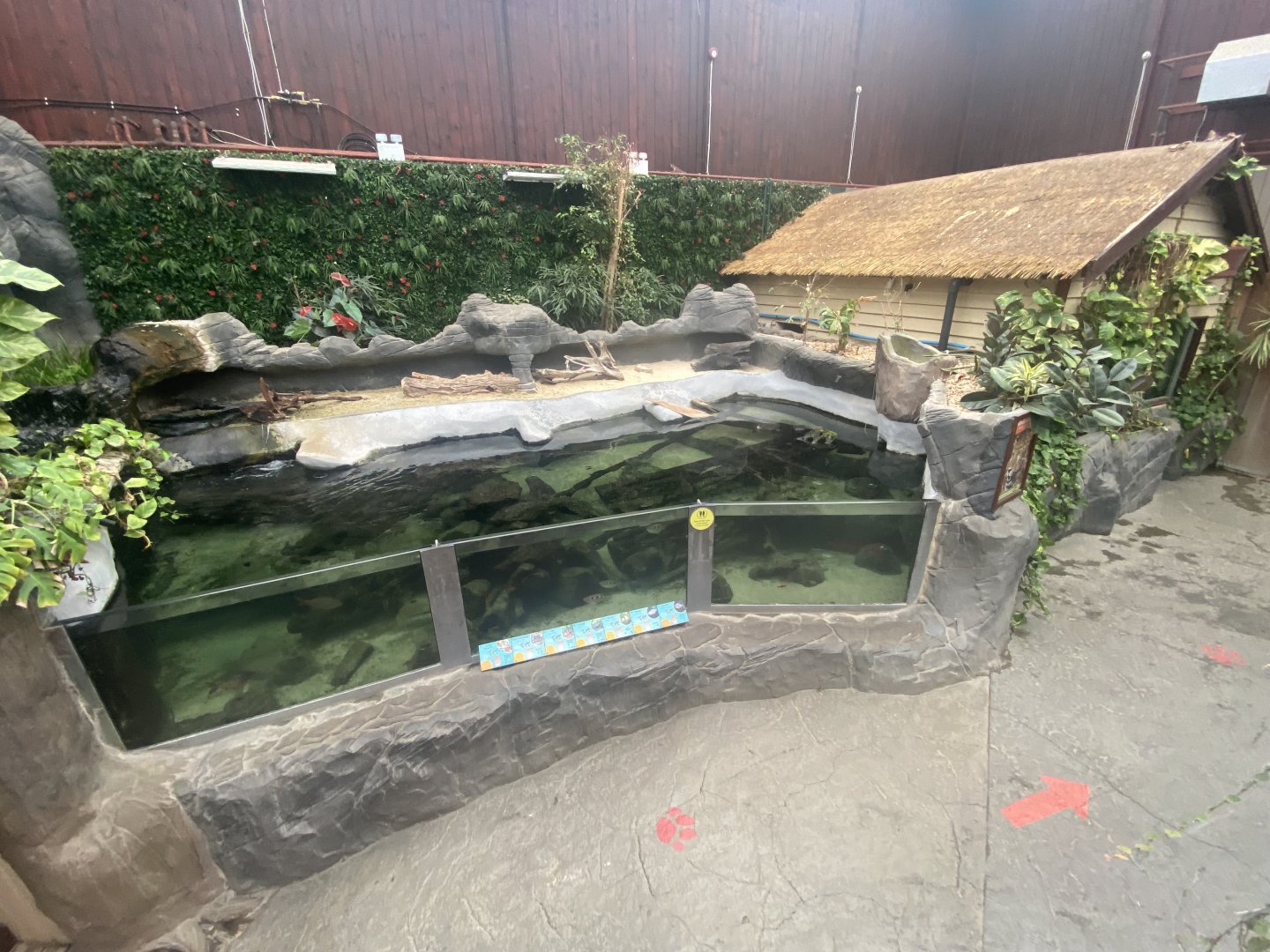 Rajang's Forest exhibit 140921