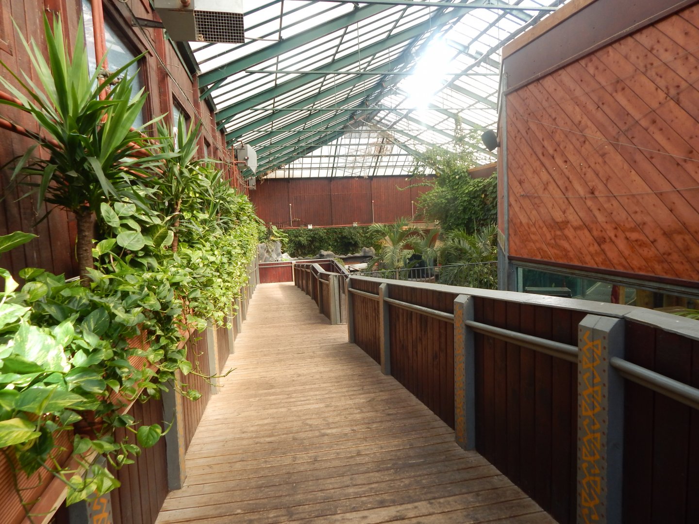 Rajang's Forest from upper walkway 110925