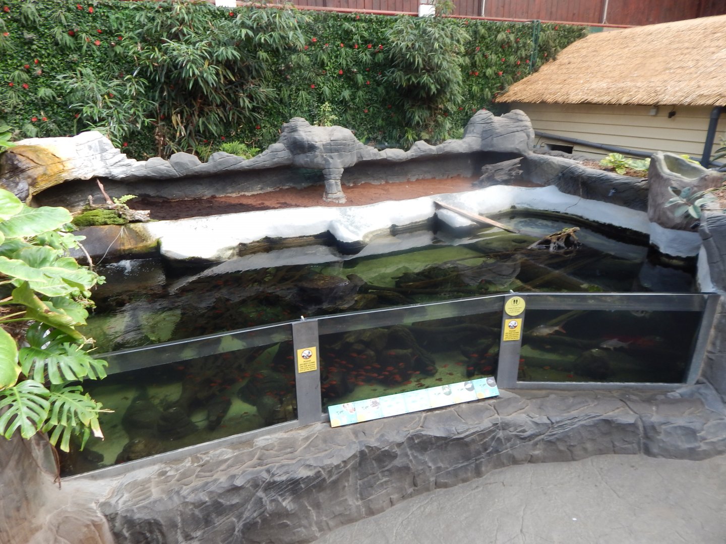 Rajang's Forest - Large aquatic exhibit from upper walkway 110925