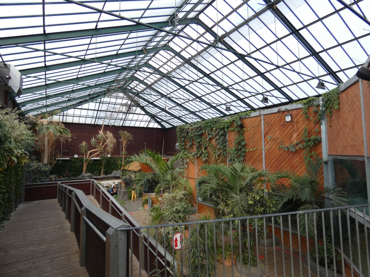 Rajang's Forest (Orangutan house)