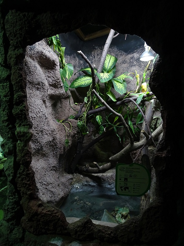 Rajske Ostrovy: Ball python terrarium