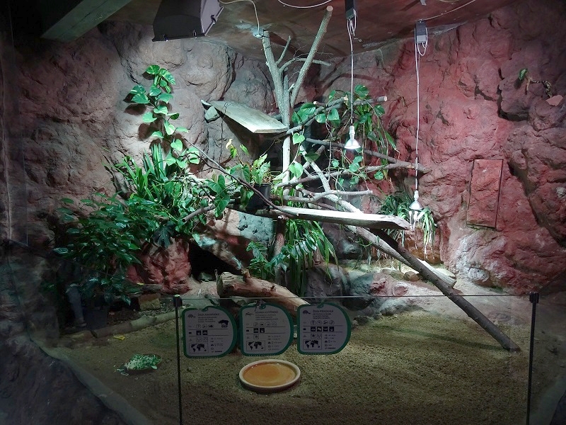 Rajske Ostrovy: Enclosure for Chinese water dragon, elongated tortoise, annam leaf turtle