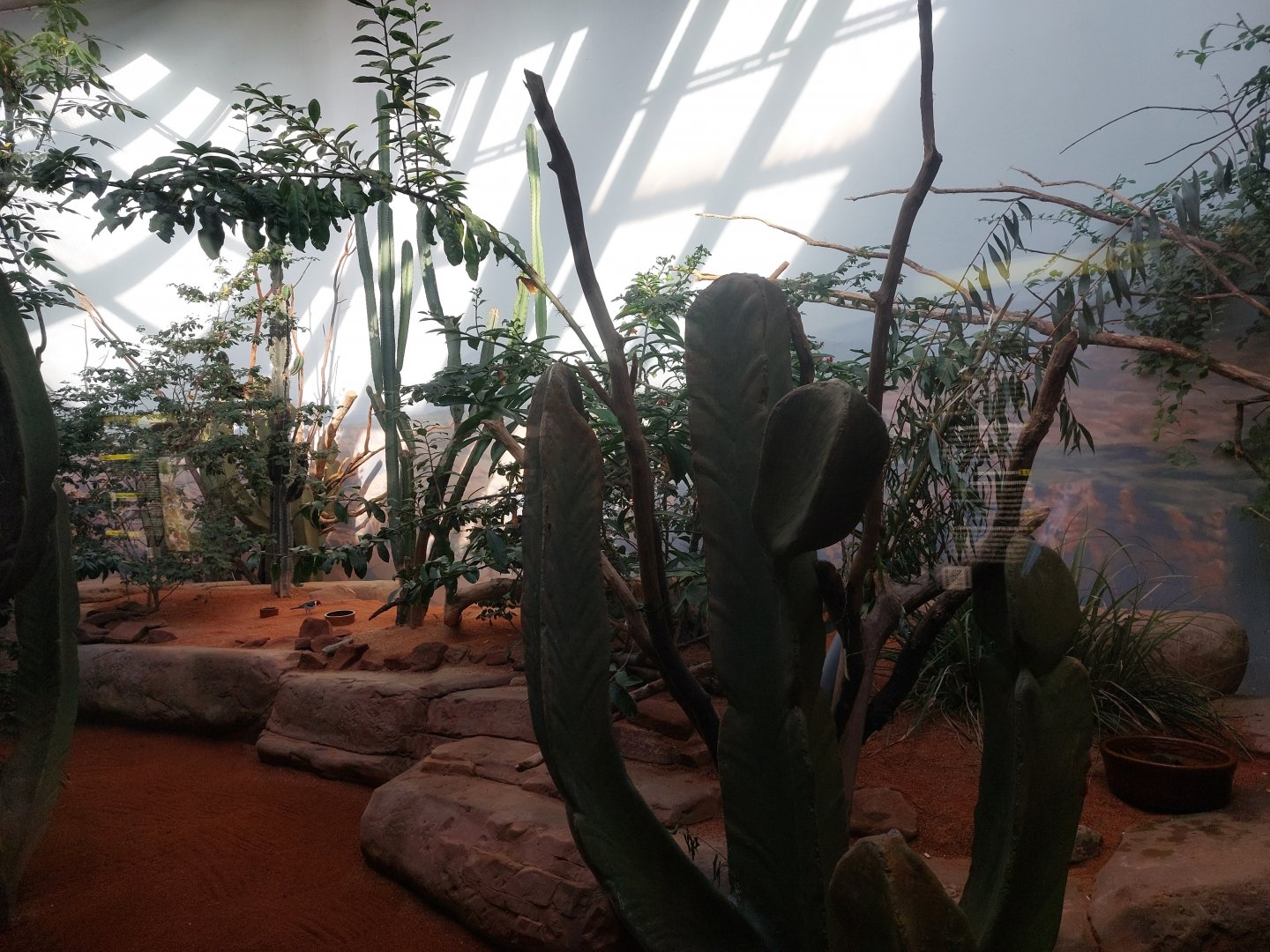 Rakos house - Caatinga aviary