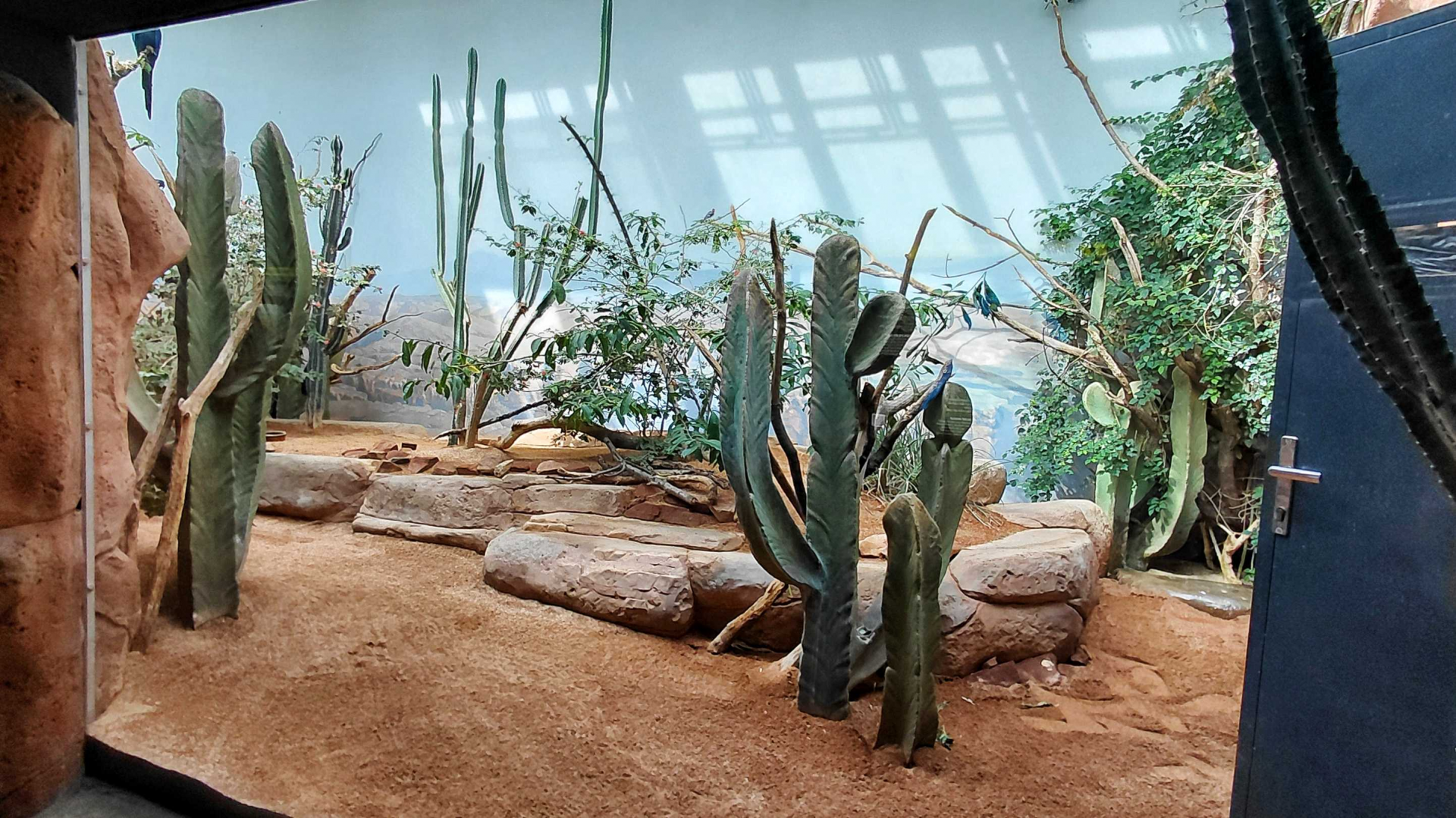 Rákos' house - Caatinga aviary