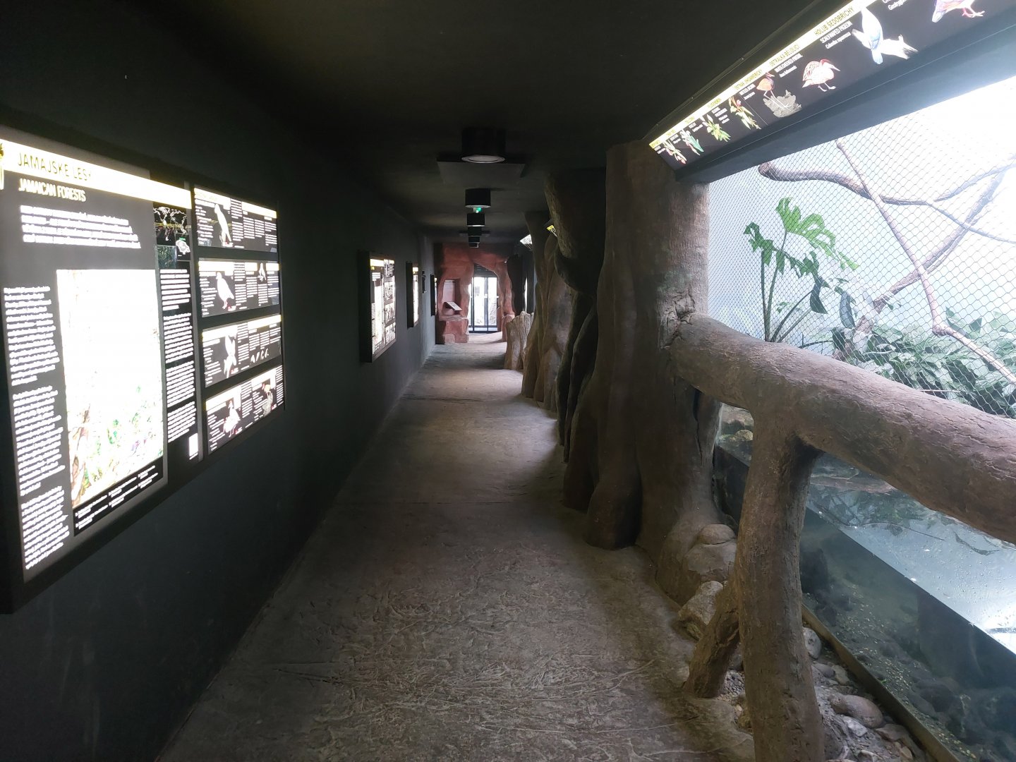 Rakos house - Corridor