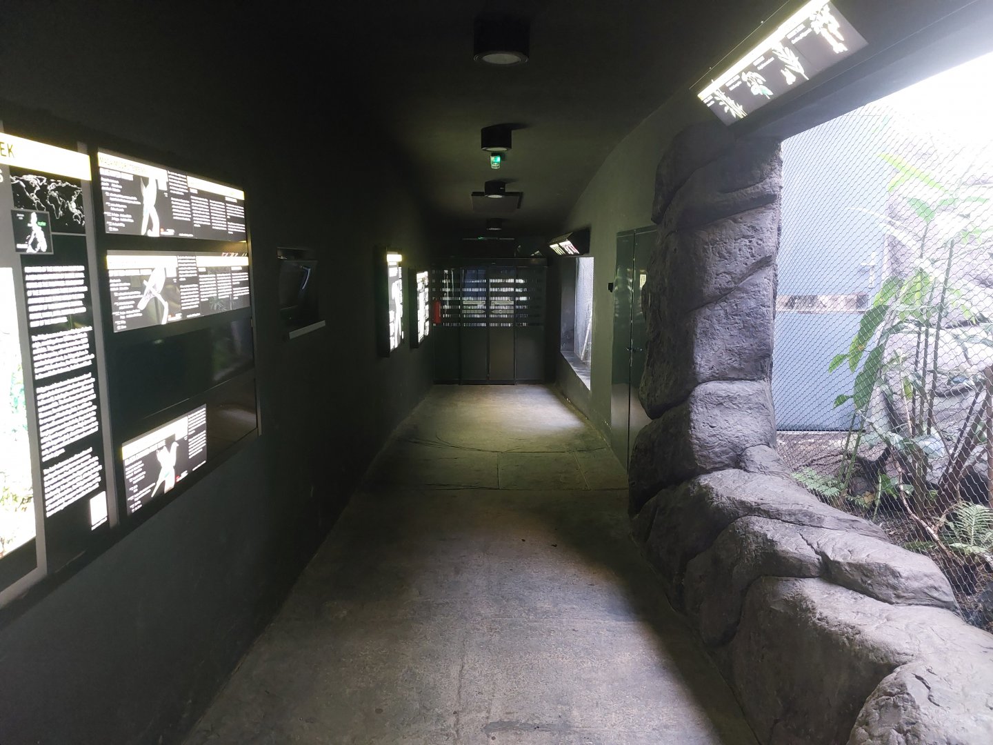 Rakos house - general view