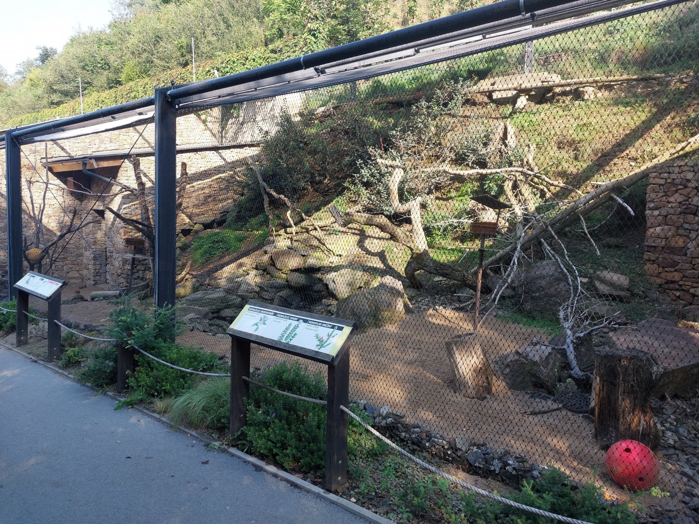 Rakos house - kea aviary