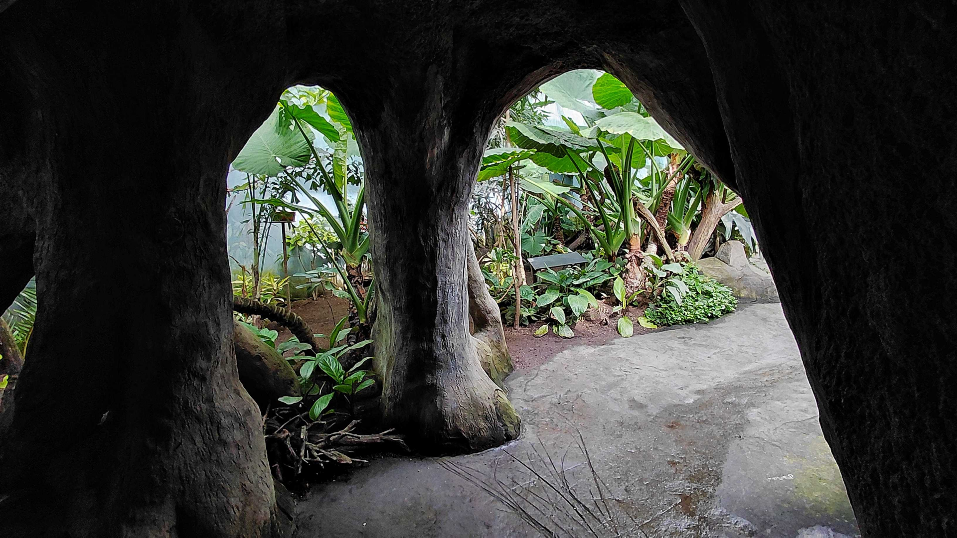 Rákos' house - New Guinea walkthrough exhibit