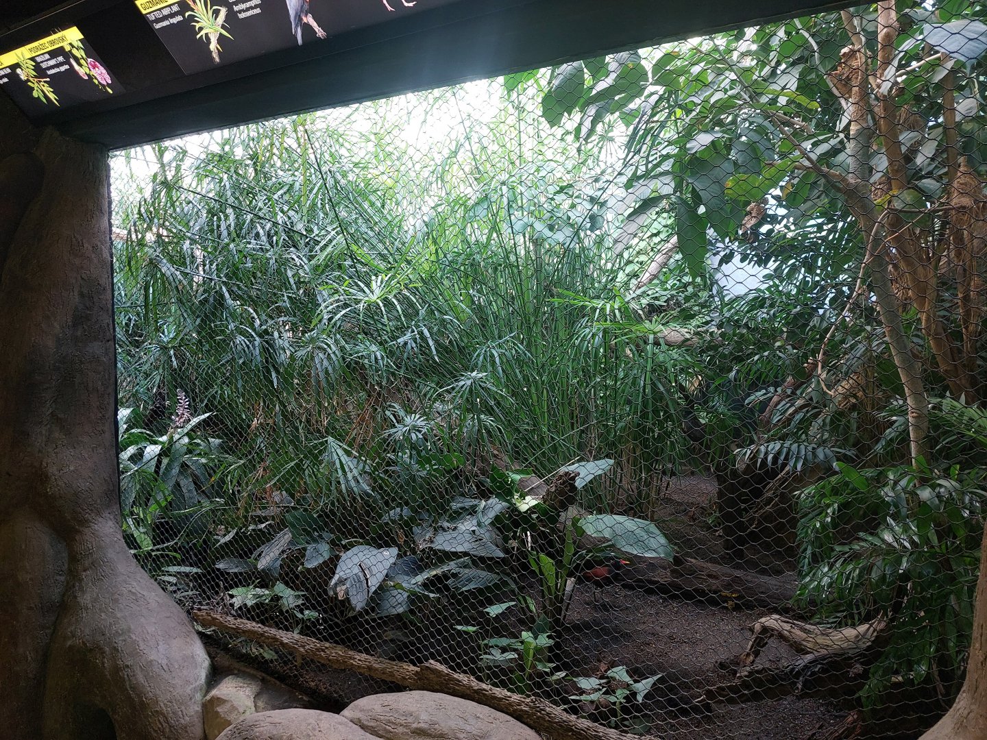 Rakos house - Pantanal aviary