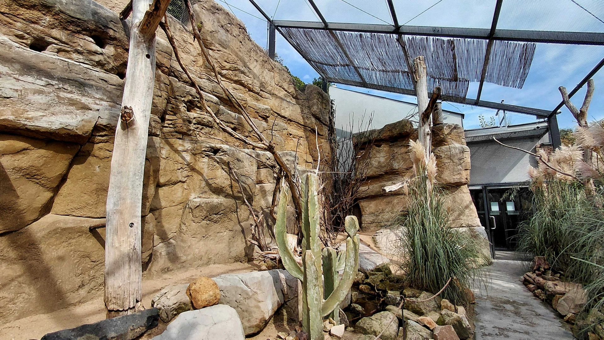 Rákos' house - Patagonian walkthrough aviary