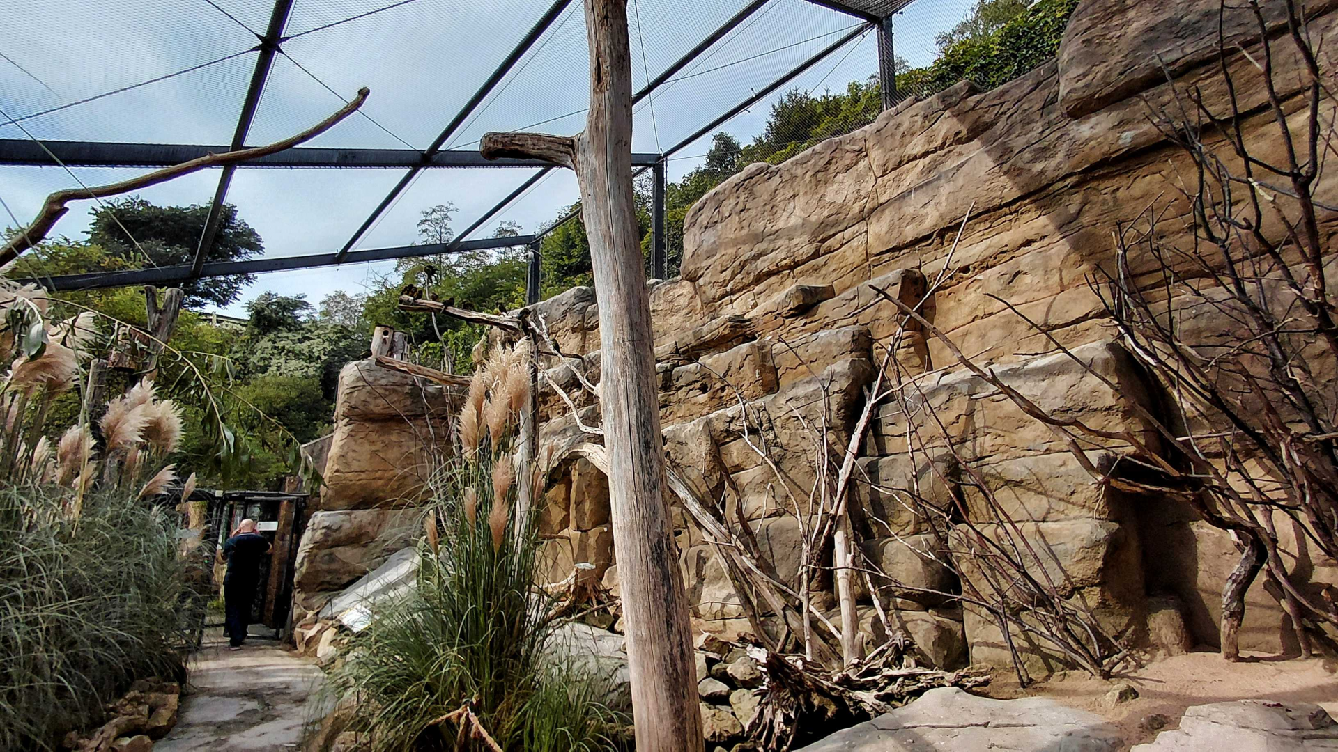 Rákos' house - Patagonian walkthrough aviary