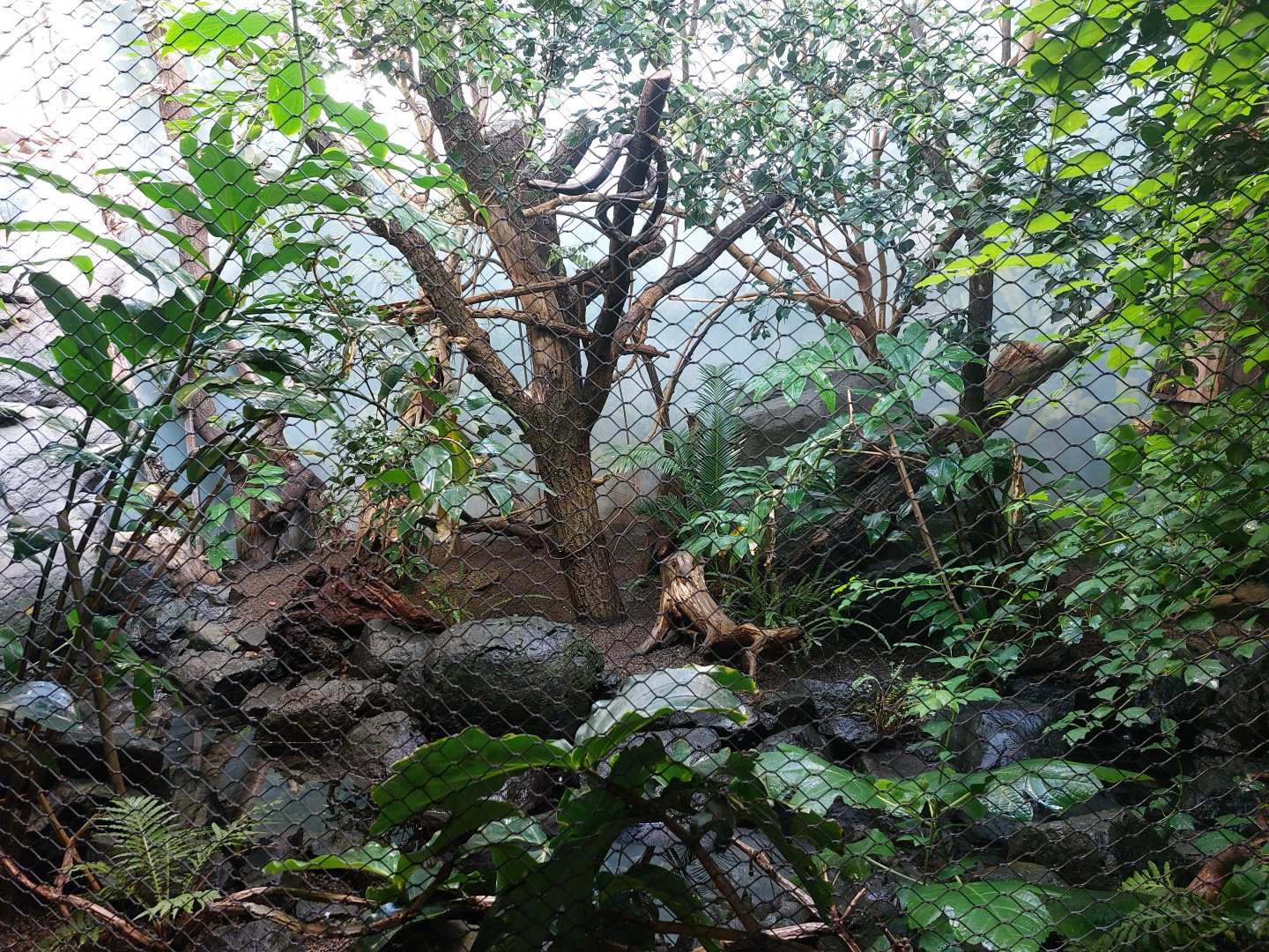 Rakos house - Philippine exhibit