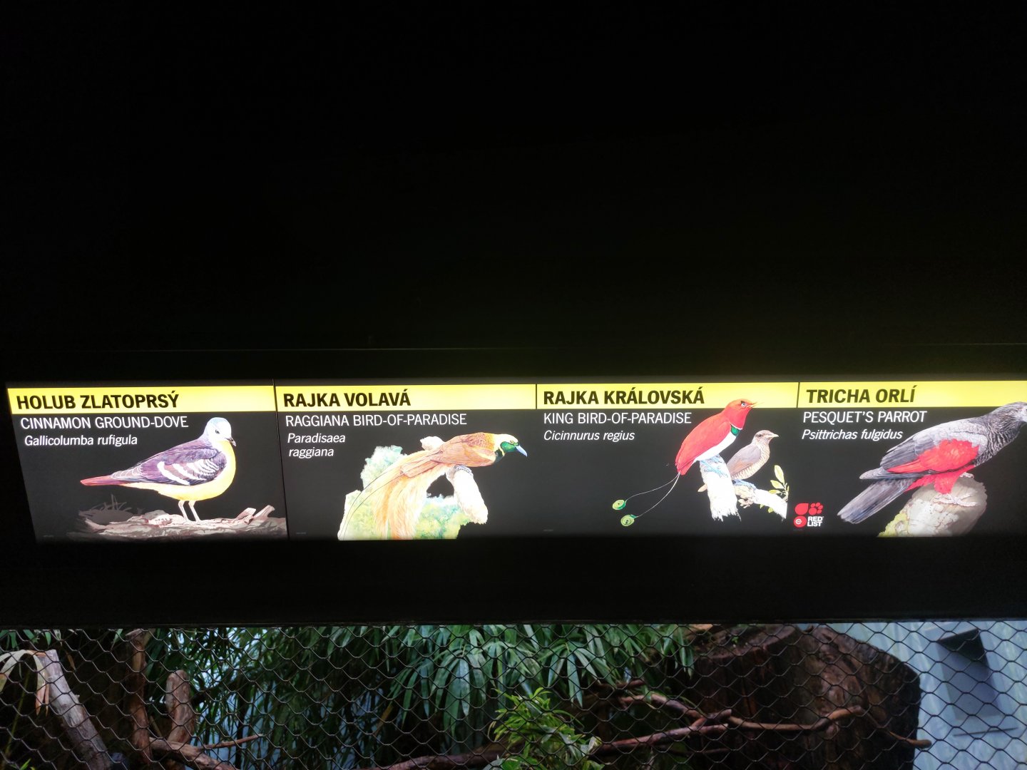 Rakos house - Signage example