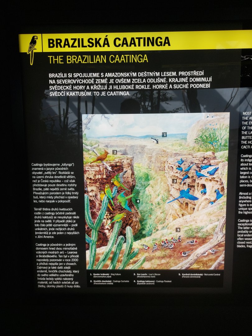 Rakos house - signage example