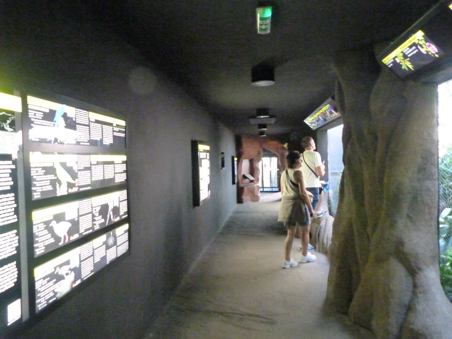 "Rakos' House" view -Zoo Praha (2025)