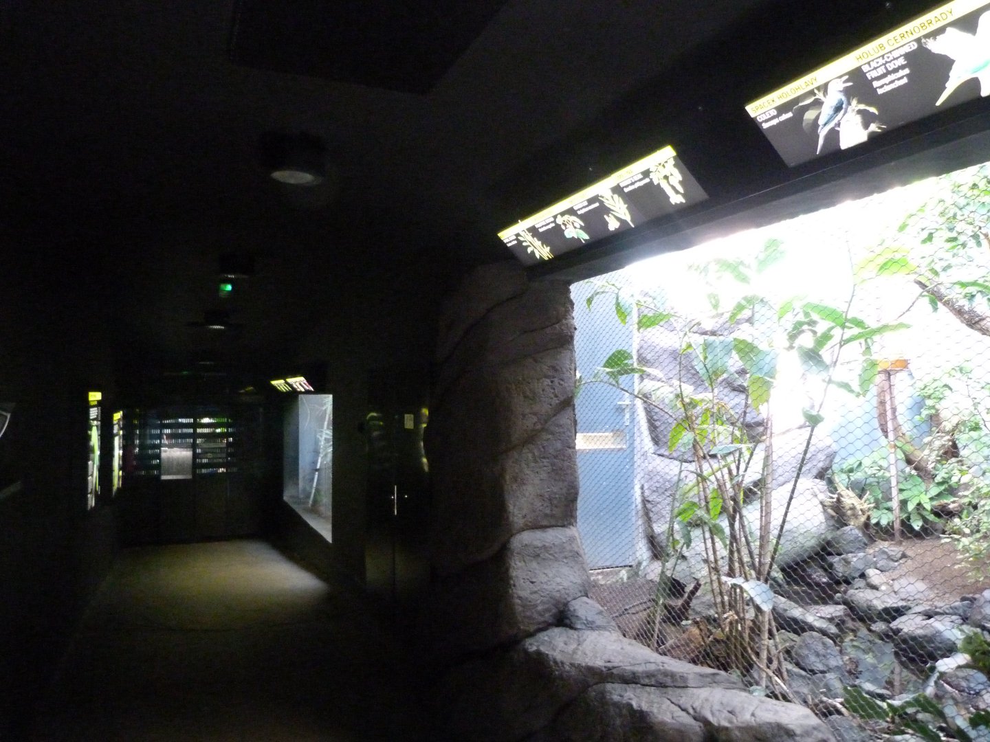 "Rakos' House" view -Zoo Praha (2025)